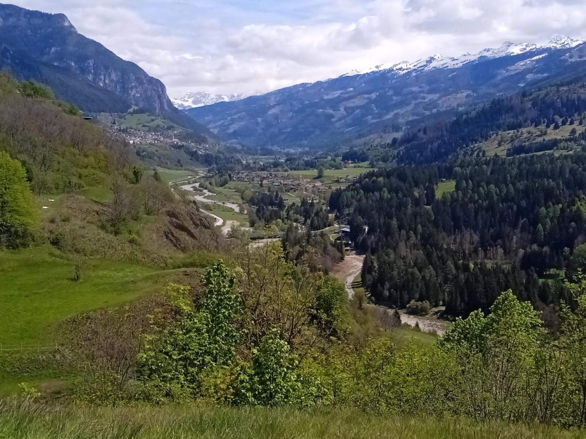 Appartamento Tiziana Val Di Fiemme Carano  Zewnętrze zdjęcie