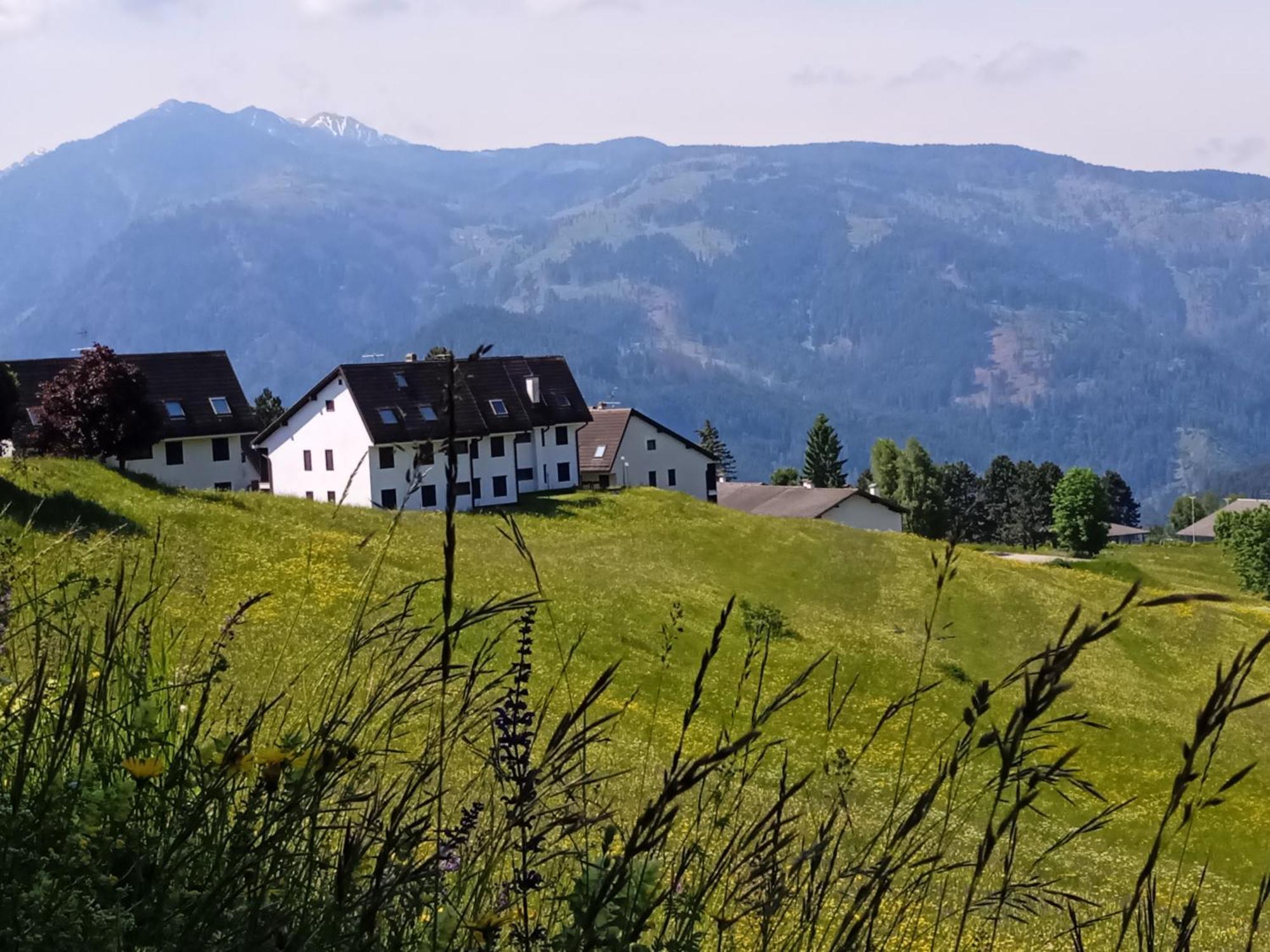 Appartamento Tiziana Val Di Fiemme Carano  Zewnętrze zdjęcie