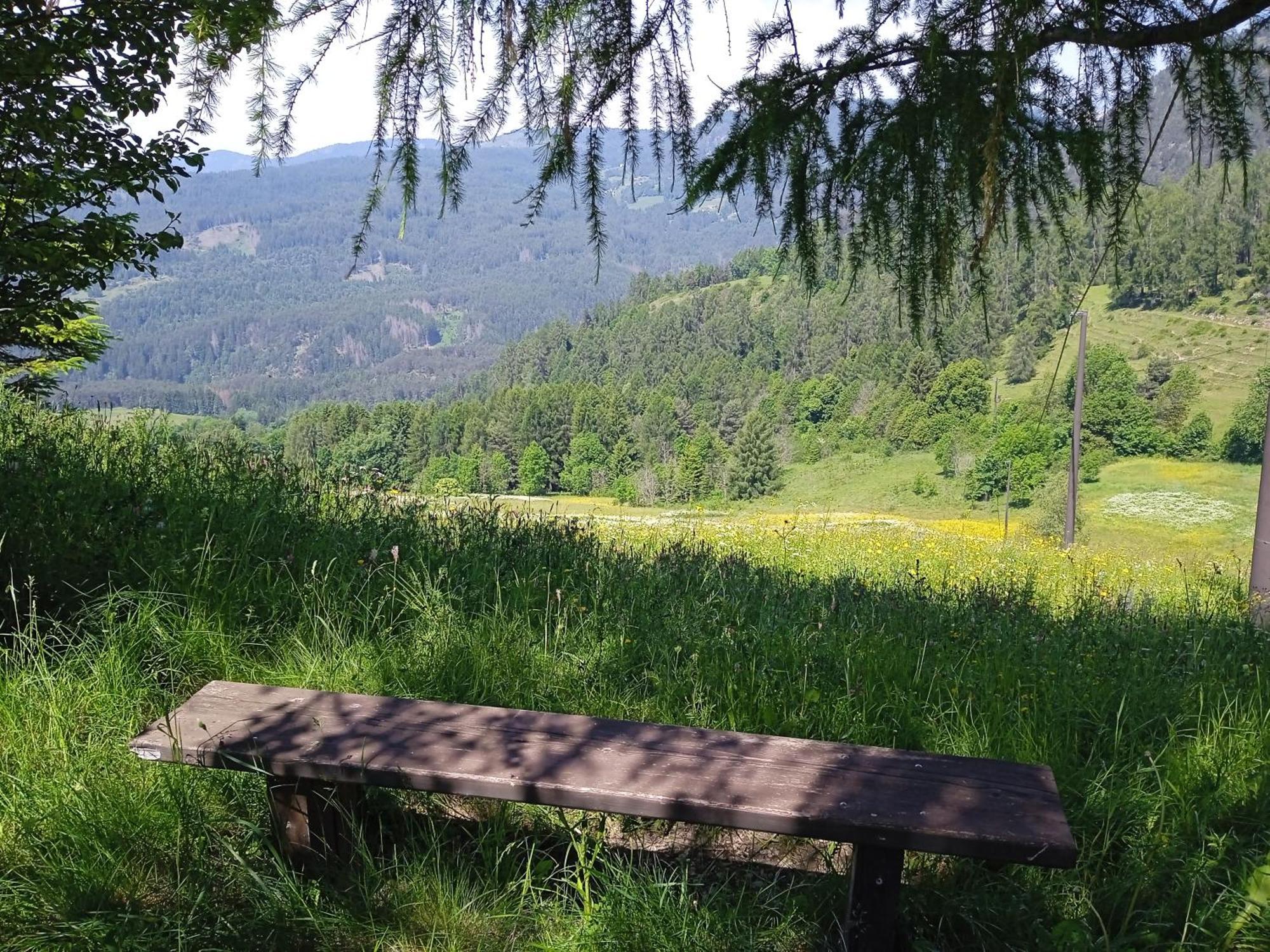 Appartamento Tiziana Val Di Fiemme Carano  Zewnętrze zdjęcie