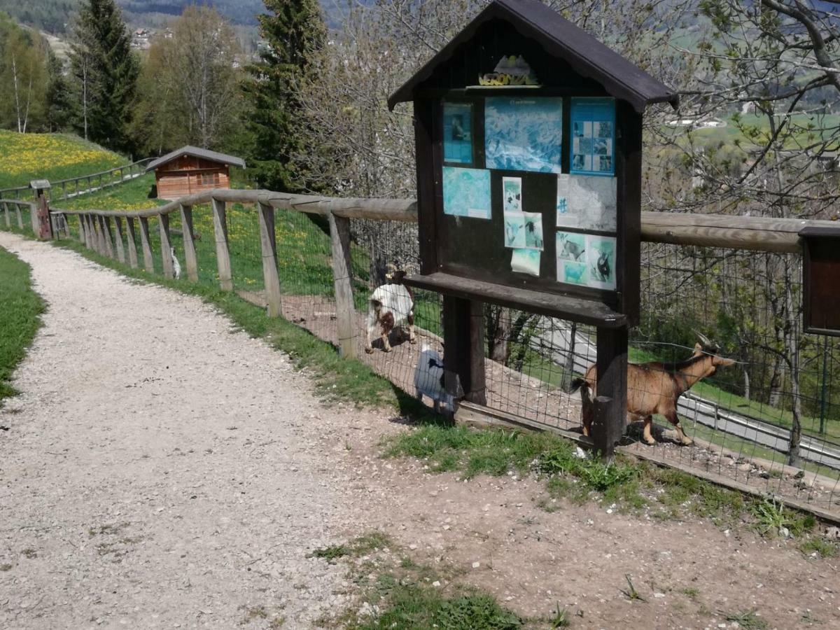 Appartamento Tiziana Val Di Fiemme Carano  Zewnętrze zdjęcie